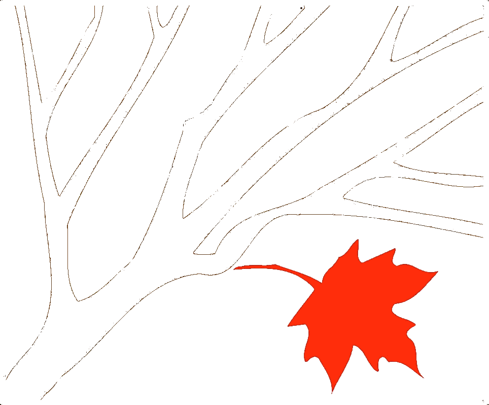 Sugar Bush Supplies